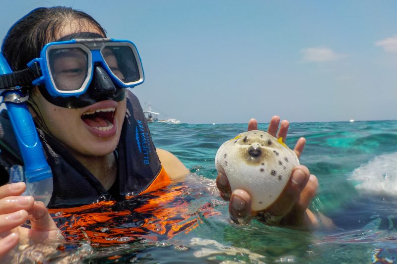 snorkeling and whalwshark watching in cebu philippines