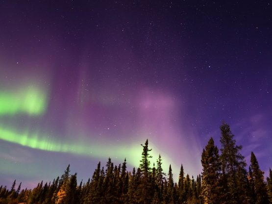 イエローナイフ イエローナイフ