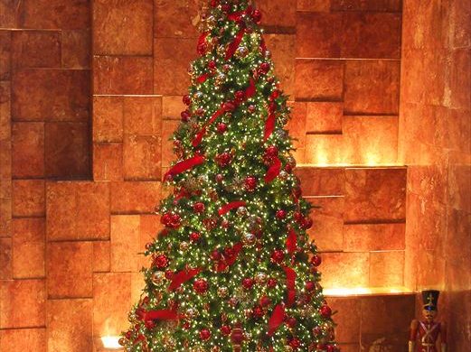 街中がクリスマスムード一色