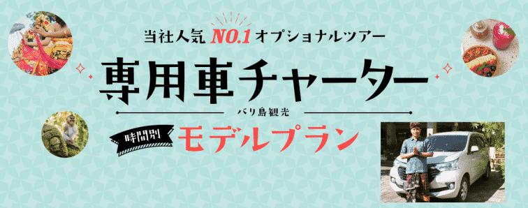 チャーターカー プラン バリ島