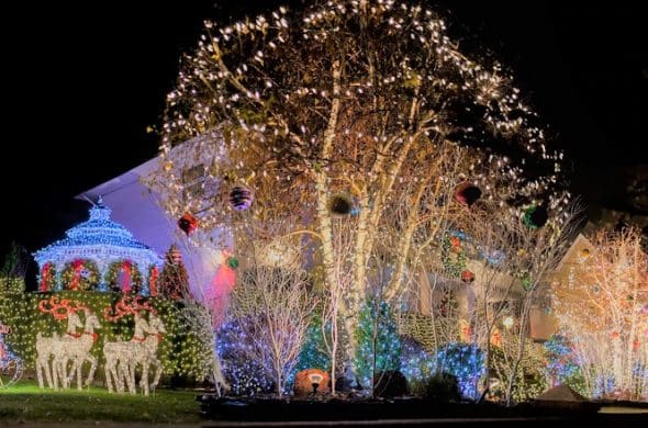 Dyker Heights
