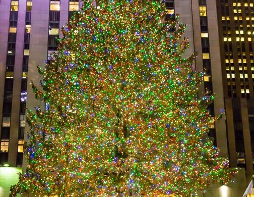 世界最大の大きさを誇るロックフェラーセンターのクリスマスツリー