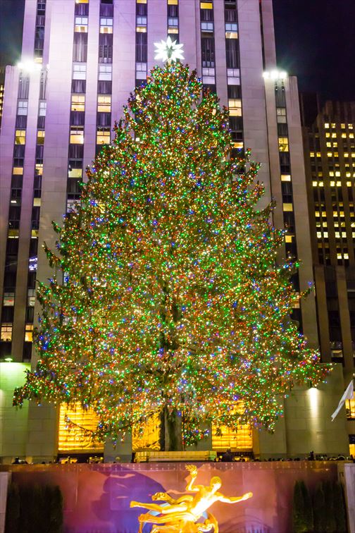 世界最大の大きさを誇るロックフェラーセンターのクリスマスツリー
