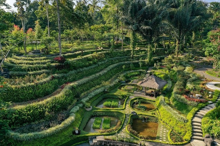 Padma Resort Ubud