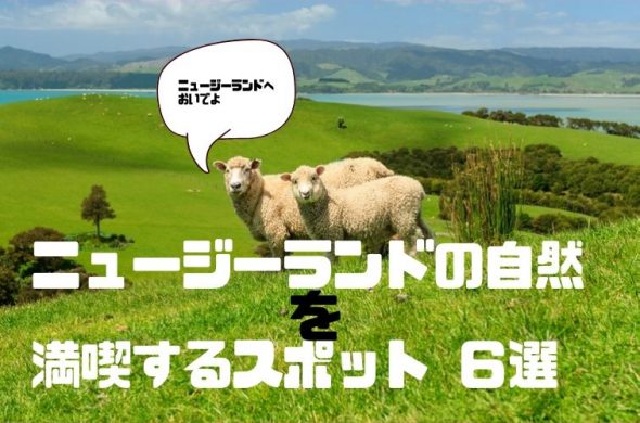 11月からがベストシーズン！ニュージーランドの自然を満喫できるスポット6選