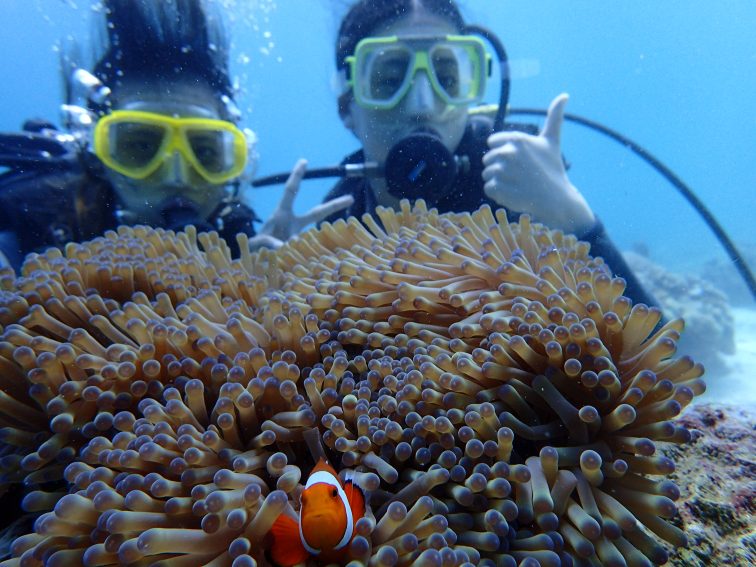 diving with friends in Cebu