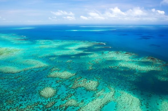 エメラルドグリーンの美しい海