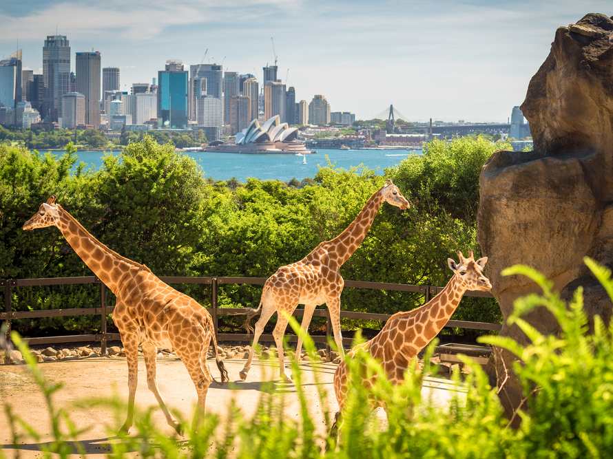 オーストラリア・シドニー(3×4）