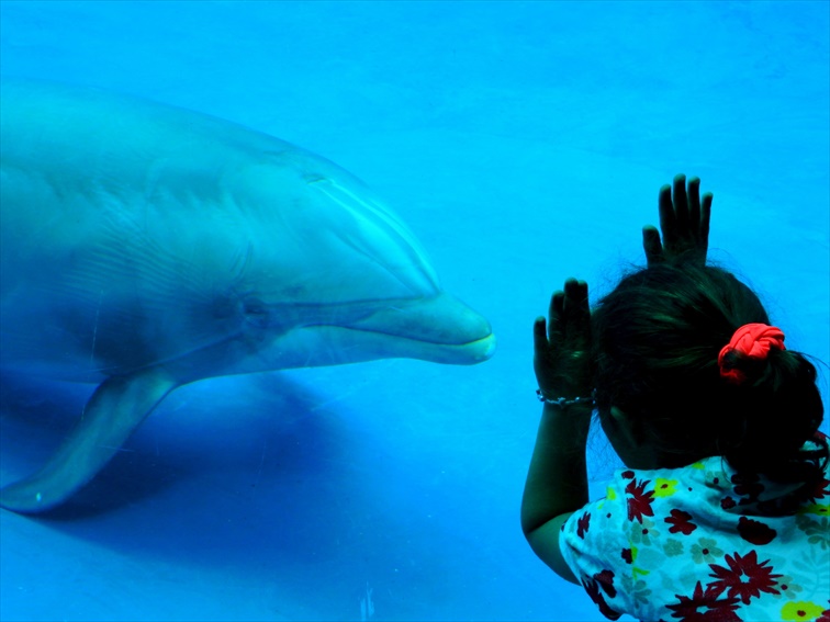 いろいろなプールが集結しているので、1日居ても飽きずに楽しめる