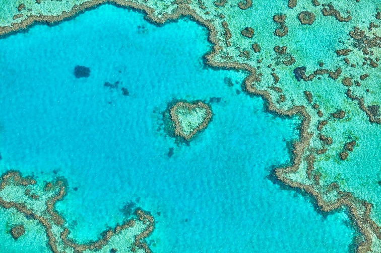 ハミルトン島