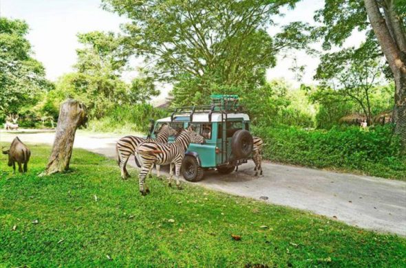 ４x４サファリ