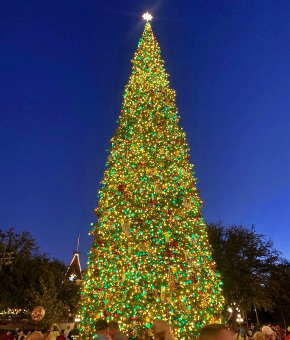 カリフォルニア ディズニーランド リゾートでホリデーシーズンがスタート 19年最新クリスマス情報をお届け トラベルスタンダードジャパン