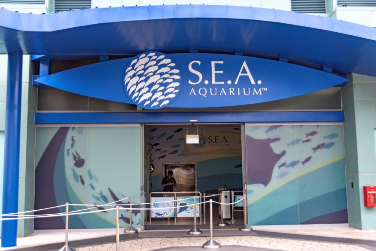 セントーサ島のシーアクアリウム