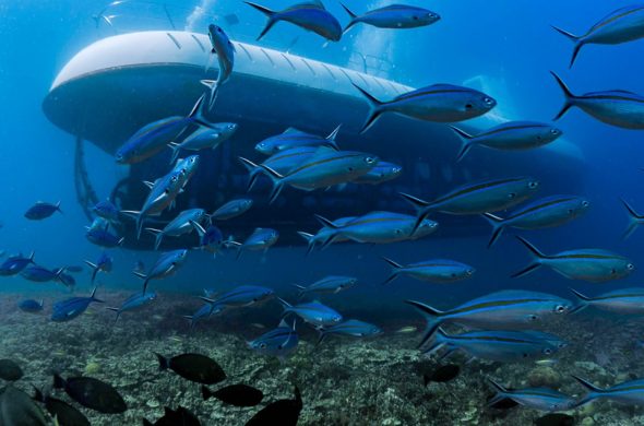 Atlantis Submarines
