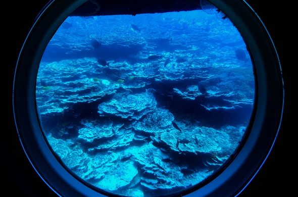 atlantis Submarines bottom of the sea