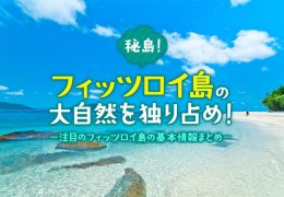 オーストラリア グレートバリアリーフのフィッツロイ島