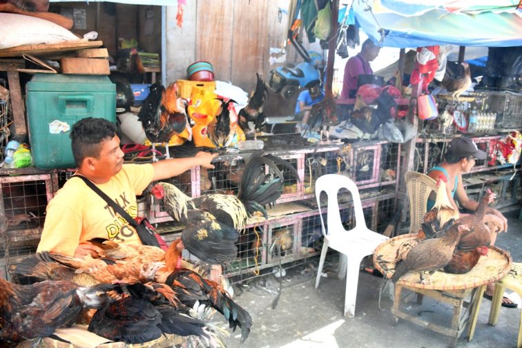 chicken market in cebu