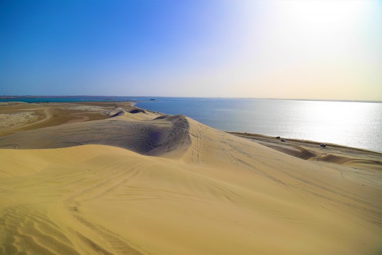 カタール 砂漠