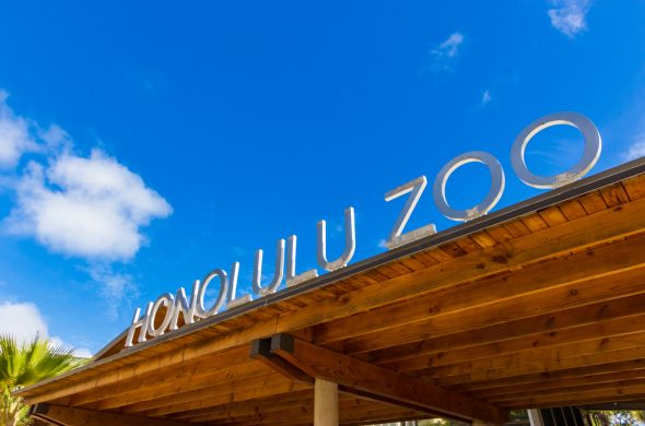 honolulu zoo