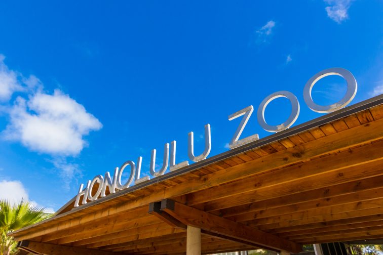 honolulu zoo