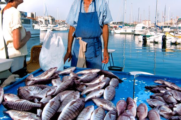 マルセイユ 魚市
