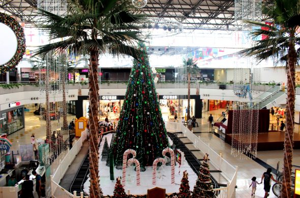 南国感がただようクリスマス