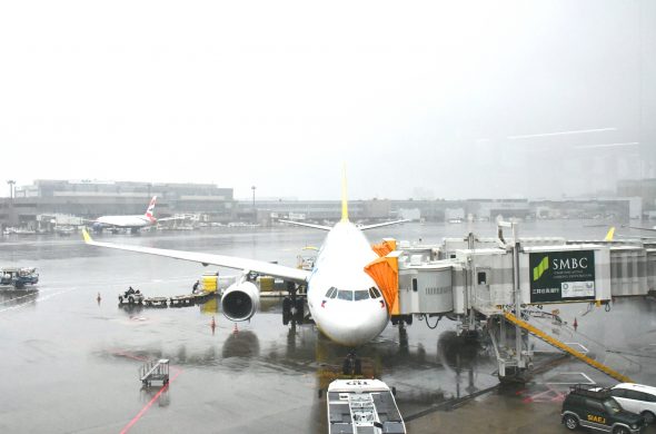 セブパシフィック航空 A330