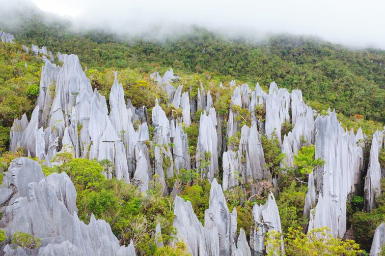 雄大で偉大な洞窟群「グヌン・ムル国立公園」