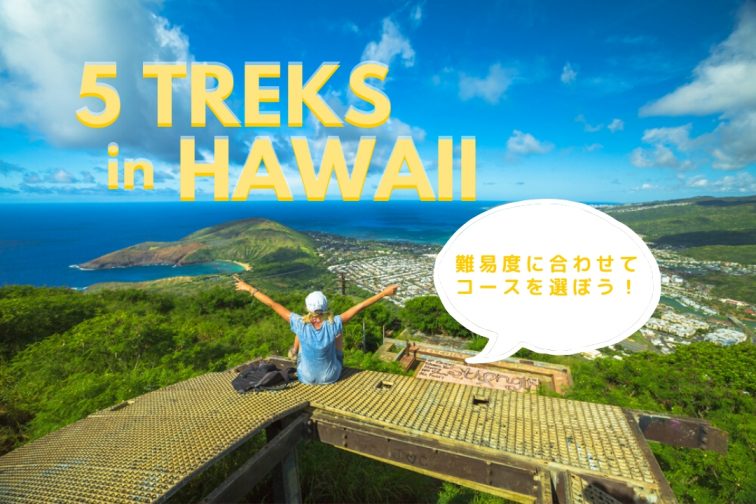 5 treks in hawaii トレッキング 記事 top