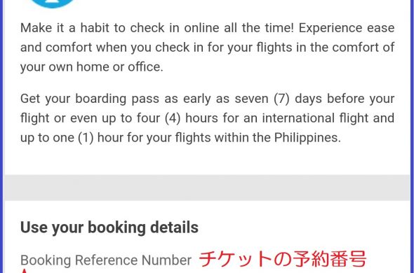 cebu pacific online checkin screenshot1