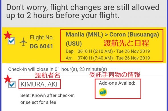 cebu pacific online checkin screenshot3