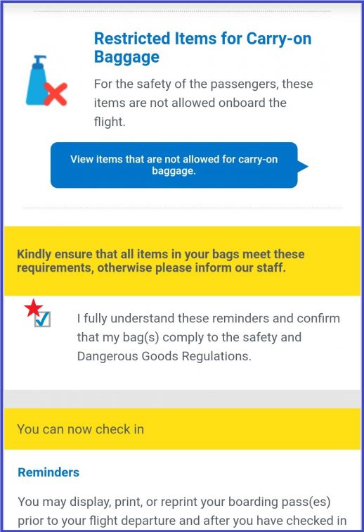 cebu pacific online checkin screenshot8