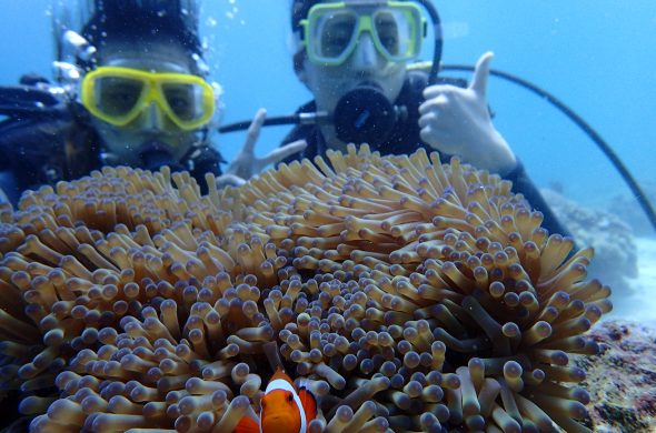 diving in cebu