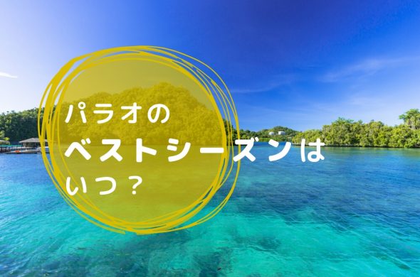 パラオへ旅行するなら1～3月がおすすめ！≪服装・天気・降雨量≫