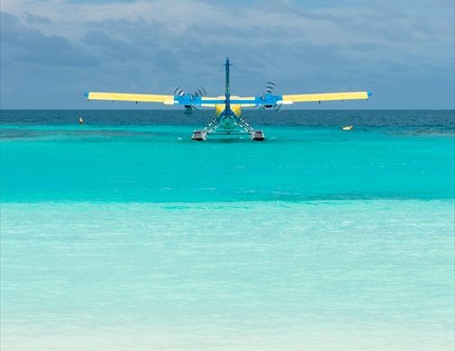 フェリーか水上飛行機にてヘロン島へ