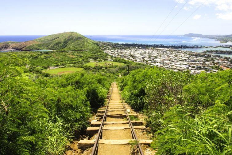 koko-head1