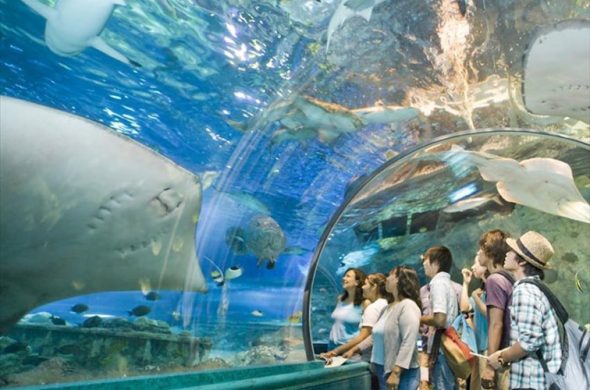 「アンダー・ウォーター・ワールド(Under Water World)」