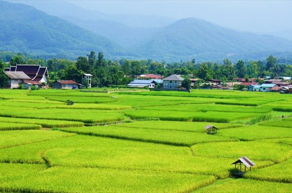 タイならではの風景を脇目にランニングが楽しめます