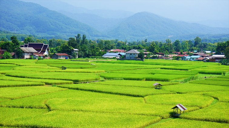 タイならではの風景を脇目にランニングが楽しめます