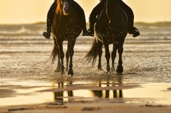 Horse riding on the beach at sunset