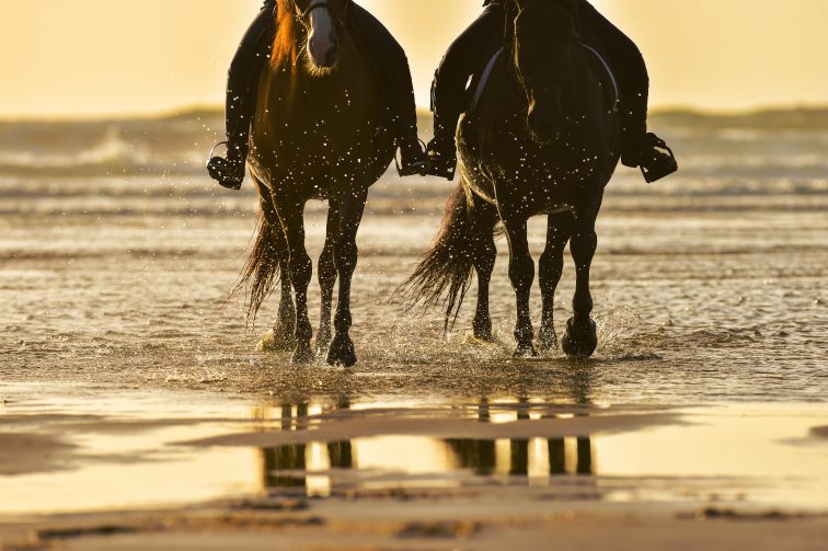 Horse riding on the beach at sunset