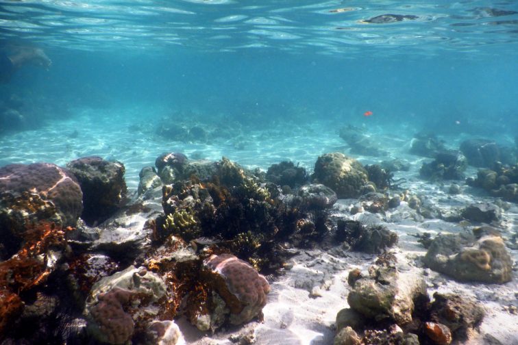 clear ocean at cyc beach