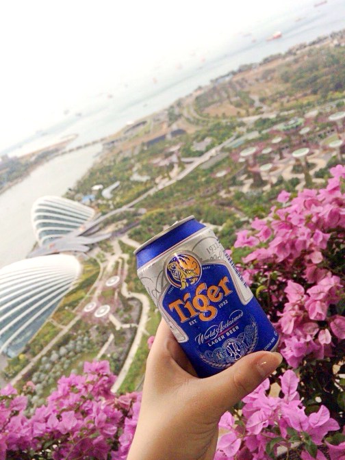 マリーナベイサンズ／クラブガーデンビューのバルコニーからの眺め