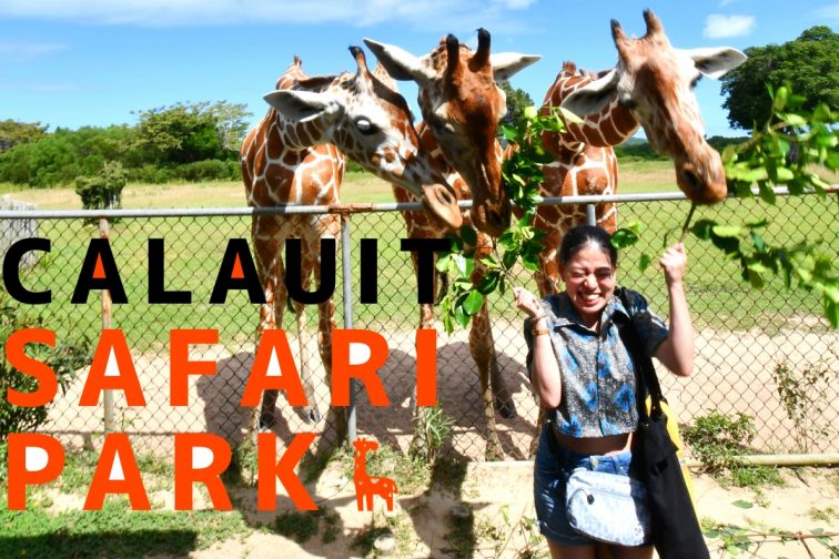Calauit Safari tour