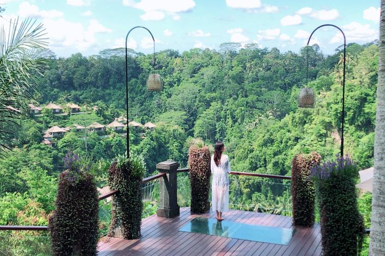 pramana view