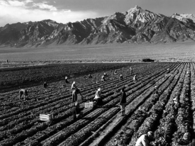 マンザナール・日系アメリカ人強制収容所3×4 マンザナール・日系アメリカ人強制収容所3×4