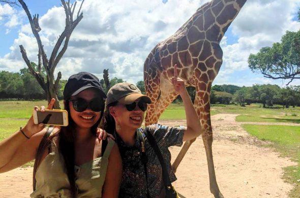 snap with giraff