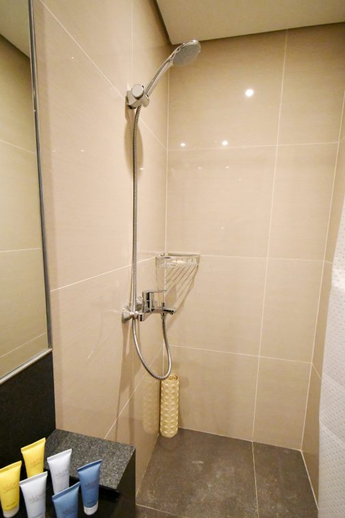 superior room twin beds_shower room