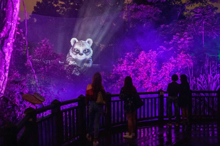 シンガポール動物園 レインフォレストルミナ