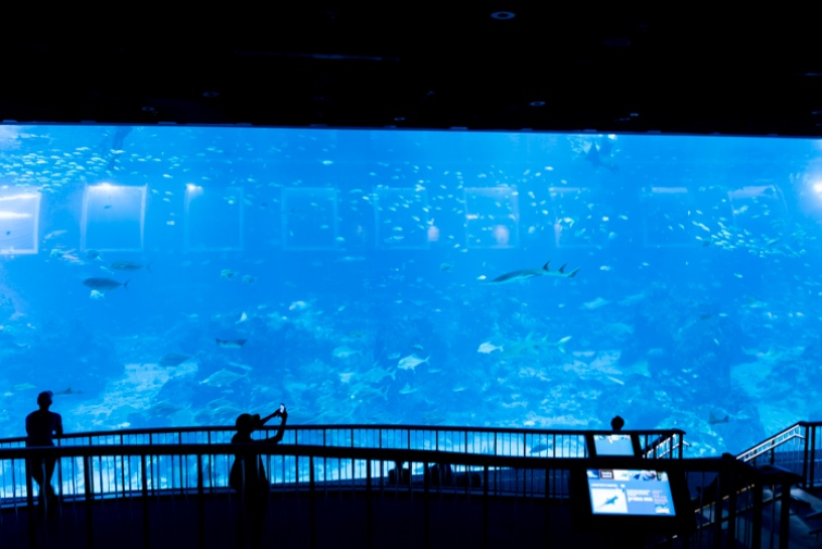 セントーサ島　シーアクアリウム　S.E.A.-Aquarium